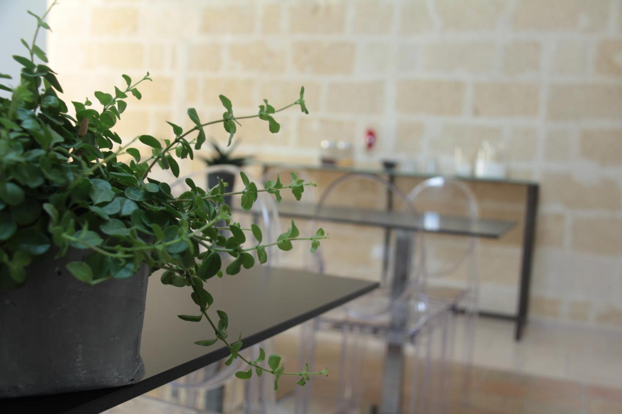 Lamia Room Rentals Matera Bagian luar foto